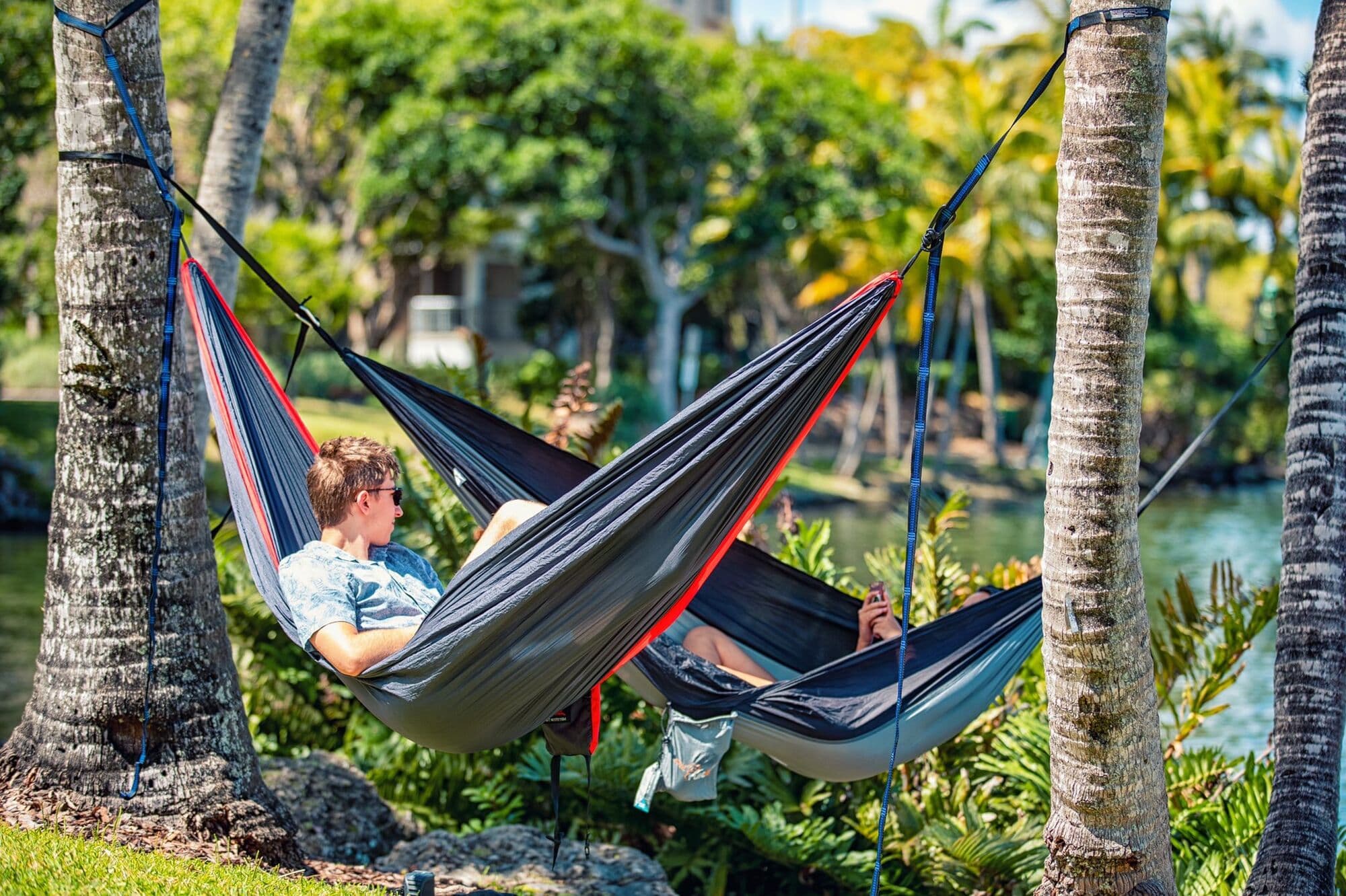 Aluno descansando numa rede entre palmeiras no campus de Miami