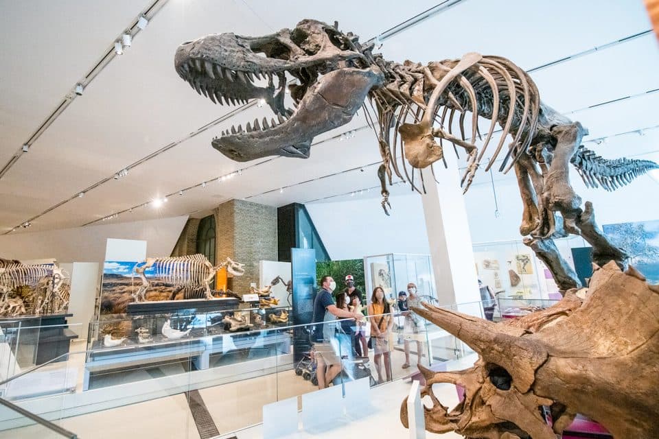 Esqueleto de dinossauro no Royal Ontario Museum